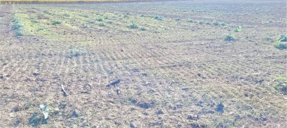 Studio à Cerignola, Italy No. 83412 4