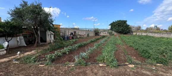 Terrain à Campi Salentina, Italy 1200m² No. 66830 10