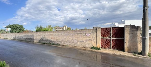 Terrain à Campi Salentina, Italy 1200m² No. 66830 13