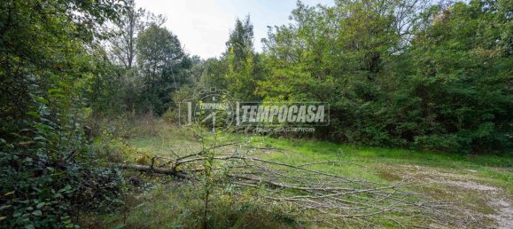 1 room Land in Marano sul Panaro, Italy No. 69282 15