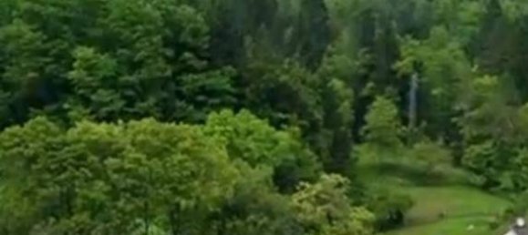 5 rooms Villa in Pordenone, Italy No. 38574 49