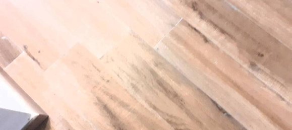 4غرفة فيلا في Alessandria, Italy رقم 164442 33