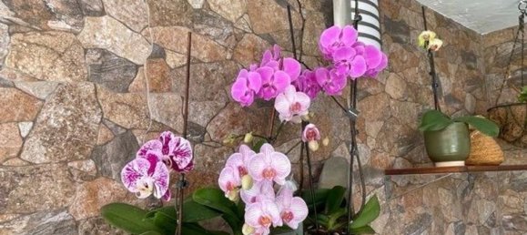 Таунхаус с 3 спальнями в Малага, Испания № 183897 6