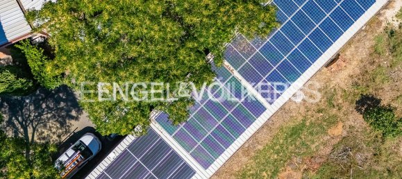 6 rooms Commercial property in Rome, Italy No. 297777 12