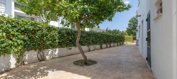 3 غرف نوم شقة في Mallorca, Spain رقم 177916 36