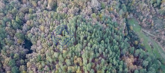 Terreno em Baião, Portugal 28570 m² N.º 32235 2