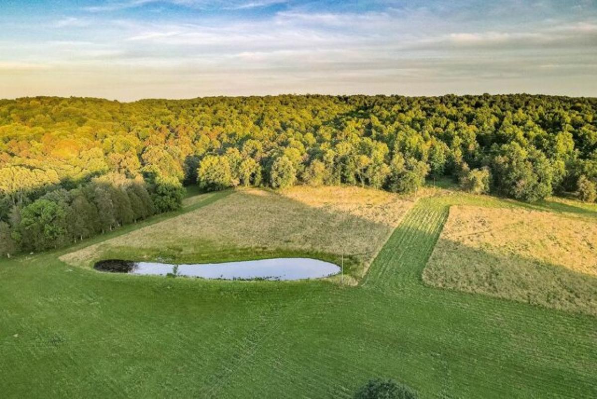  Land in Nunnelly, USA No. 534290