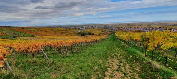 Apartamento de 10 habitaciónes en Bad Durkheim, Germany No. 161521 7
