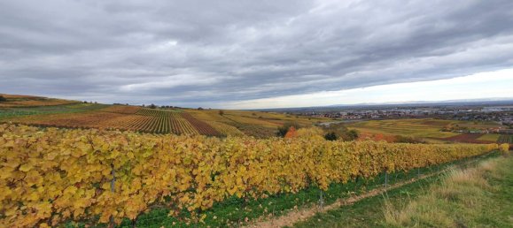 Apartamento de 10 habitaciónes en Bad Durkheim, Germany No. 161521 6