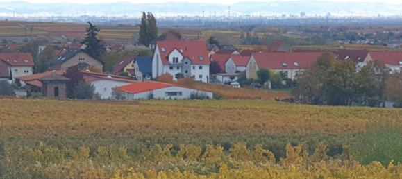 Apartamento de 10 habitaciónes en Bad Durkheim, Germany No. 161521 2