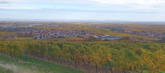 Apartamento de 10 habitaciónes en Bad Durkheim, Germany No. 161521 3
