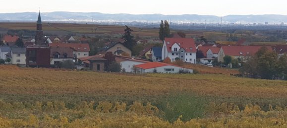 Apartamento de 10 habitaciónes en Bad Durkheim, Germany No. 161521 5
