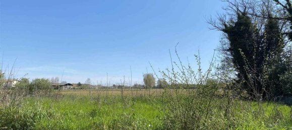 1260m² Land in Cinto Caomaggiore, Italy No. 220594 5