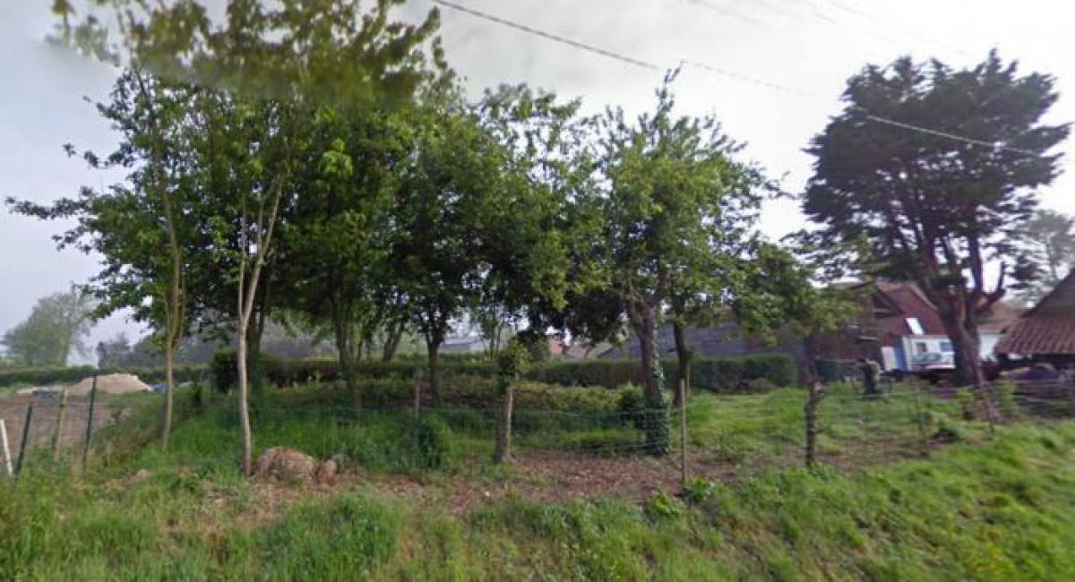  Land in Hesdin, France No. 21529