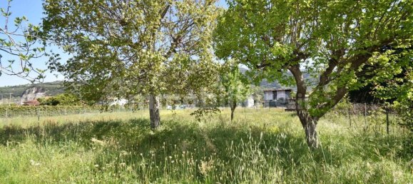 2 bedrooms Villa in Pietrasanta, Italy No. 116178 6