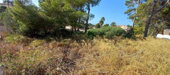 Terreno em Calpe, Spain N.º 94176 12