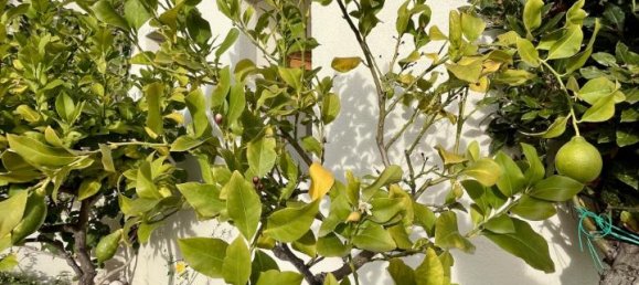 Penthouse de 6 divisões em Olbia, Italy N.º 234356 46