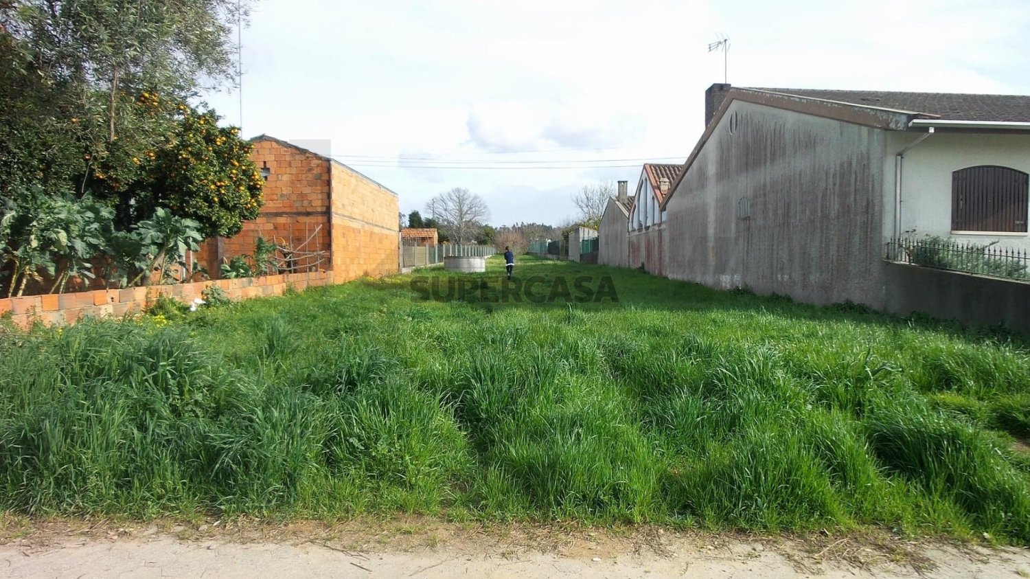 Terrain à Agueda, Portugal No. 245039