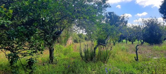 4 غرف نوم منزل في Sao Paio de Oleiros, Portugal رقم 17416 21