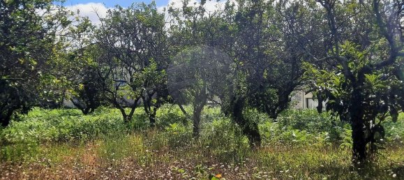 4 غرف نوم منزل في Sao Paio de Oleiros, Portugal رقم 17416 17