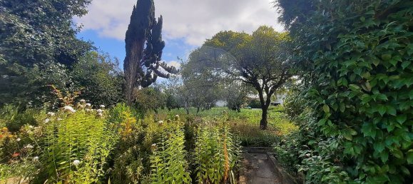 4 غرف نوم منزل في Sao Paio de Oleiros, Portugal رقم 17416 15