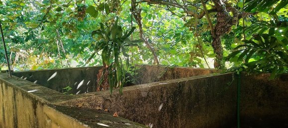 4 غرف نوم منزل في Sao Paio de Oleiros, Portugal رقم 17416 20