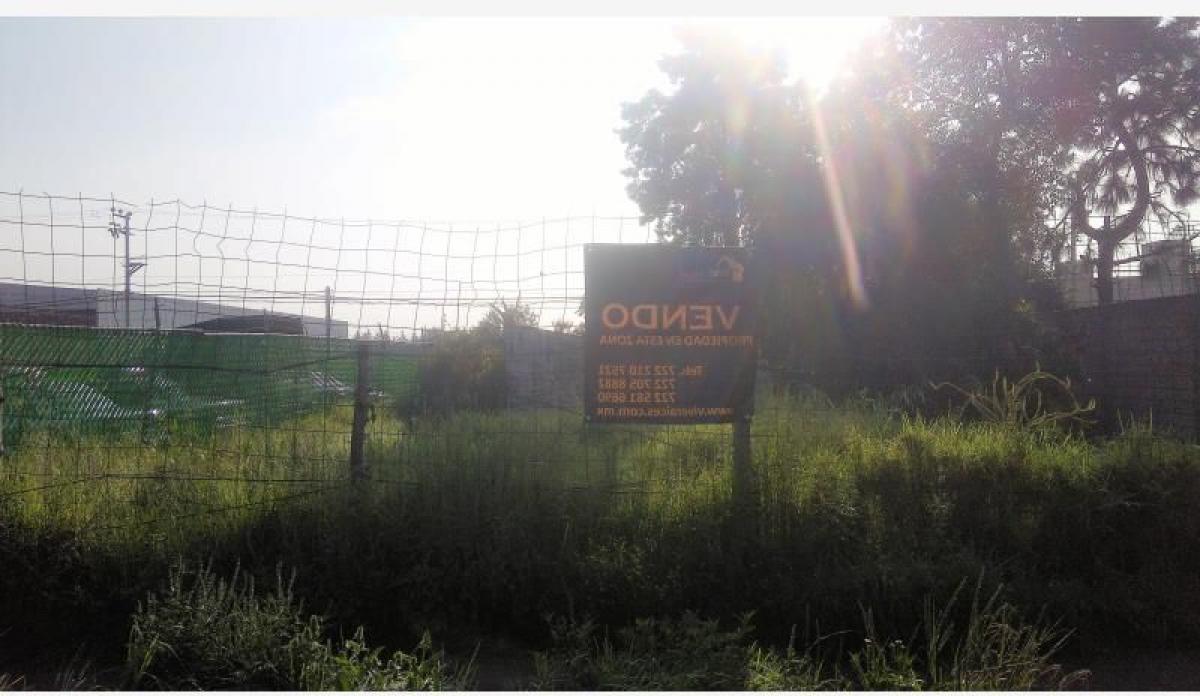 Terreno em San Buenaventura, Mexico N.º 204352