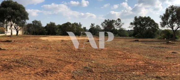 Grundstück in Almancil, Portugal 6467m², Nr. 146667 5