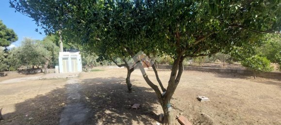 2 bedrooms Apartment in Sellia Marina, Italy No. 329159 15