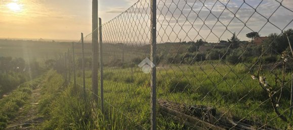 4600m² Land in Rome, Italy No. 230566 3