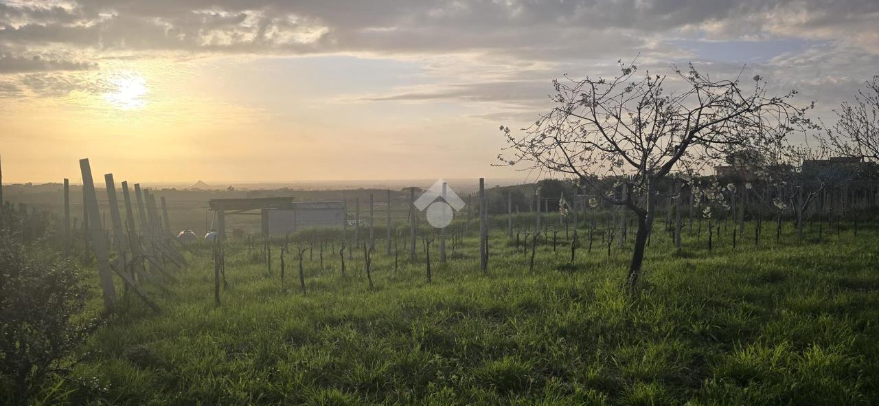 4600m² Land in Rome, Italy No. 230566