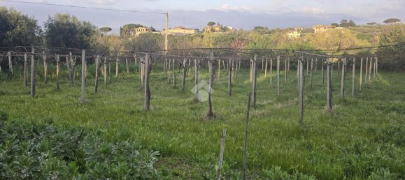 4600m² Land in Rome, Italy No. 230566 2