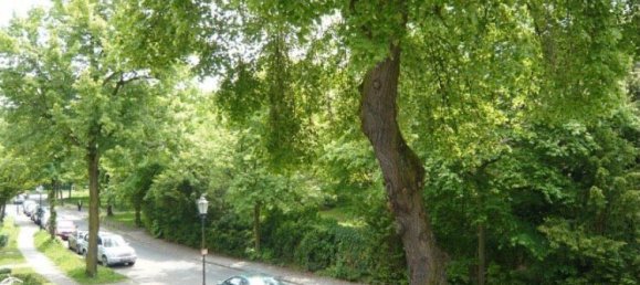 1 chambre Appartement à Neukolln, Germany No. 92958 5