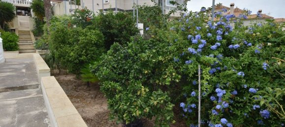 3 bedrooms House in Algorfa, Spain No. 183606 36