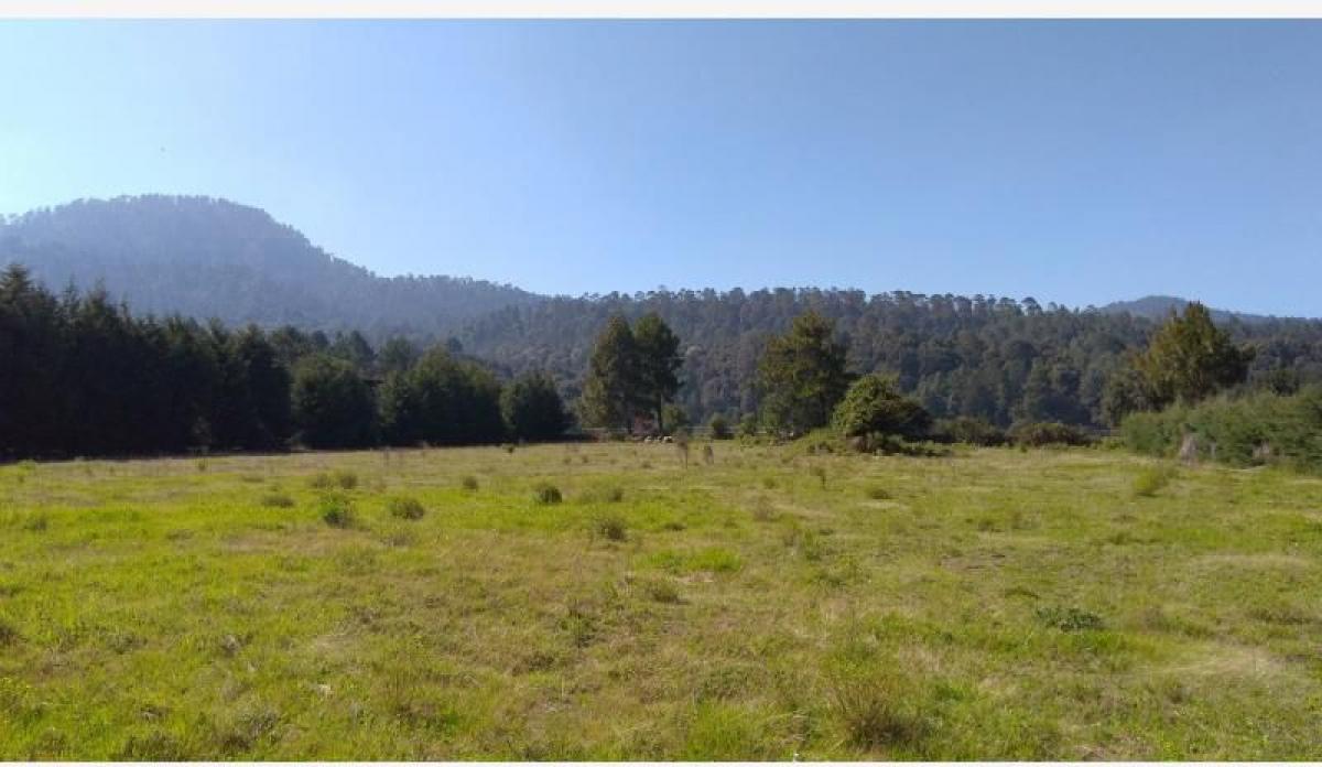 Terrain à Heroica Matamoros, Mexico No. 204334