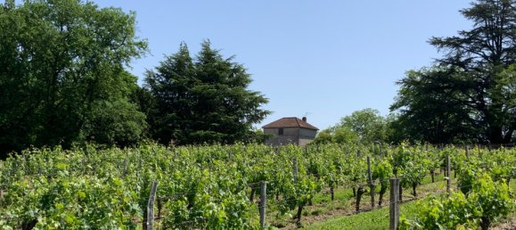 3 bedrooms Castles in Espiens, France No. 103056 8