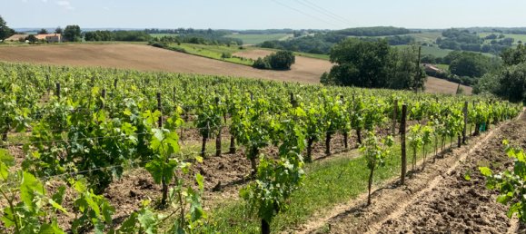 3 bedrooms Castles in Espiens, France No. 103056 6