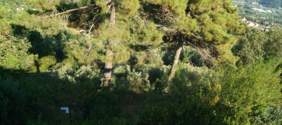 12غرفة فيلا في Camaiore, Italy رقم 298971 24