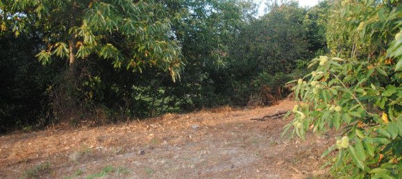 Terreno en Meaño, Spain 985 m² No. 98588 4