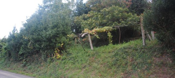 Terreno en Meaño, Spain 985 m² No. 98588 13