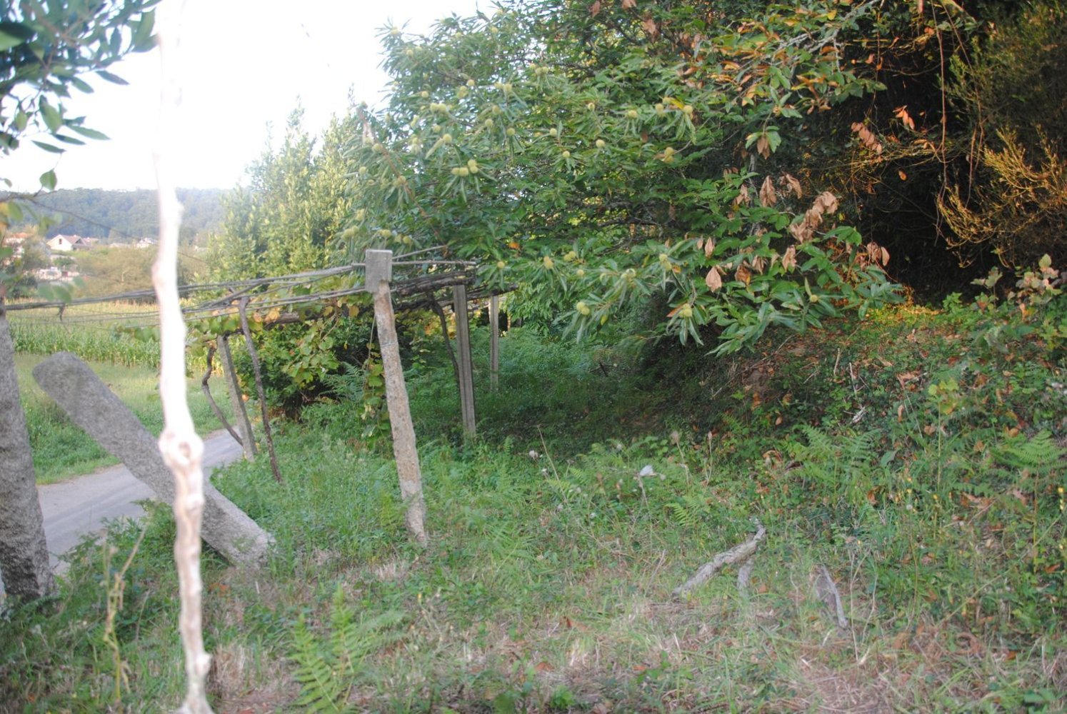 Terreno en Meaño, Spain 985 m² No. 98588