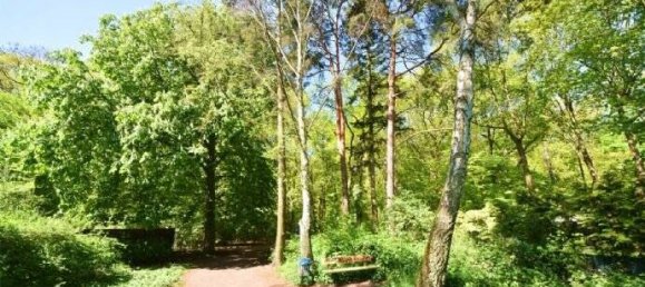 Таунхаус с 5 спальнями в Целендорф, Германия № 55716 5