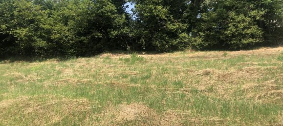 Земельный участок в Амплепуис, Франция № 106994 7