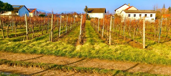 Grundstück in Rheinland-Pfalz, Germany 1706m², Nr. 316518 2