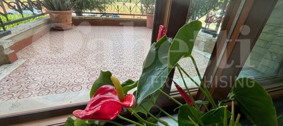 5-Zimmer Wohnung in Massa Marittima, Italy, Nr. 302294 26