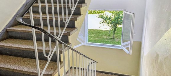 2 rooms Apartment in Offenbach, Germany No. 155079 2