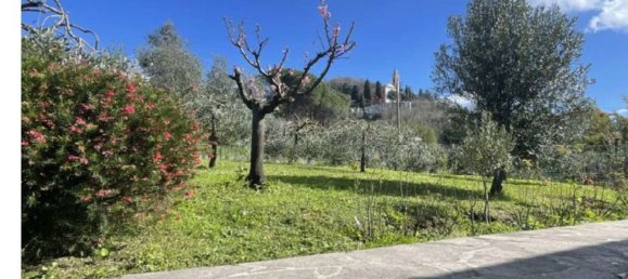 7 rooms Apartment in Leivi, Italy No. 99652 8