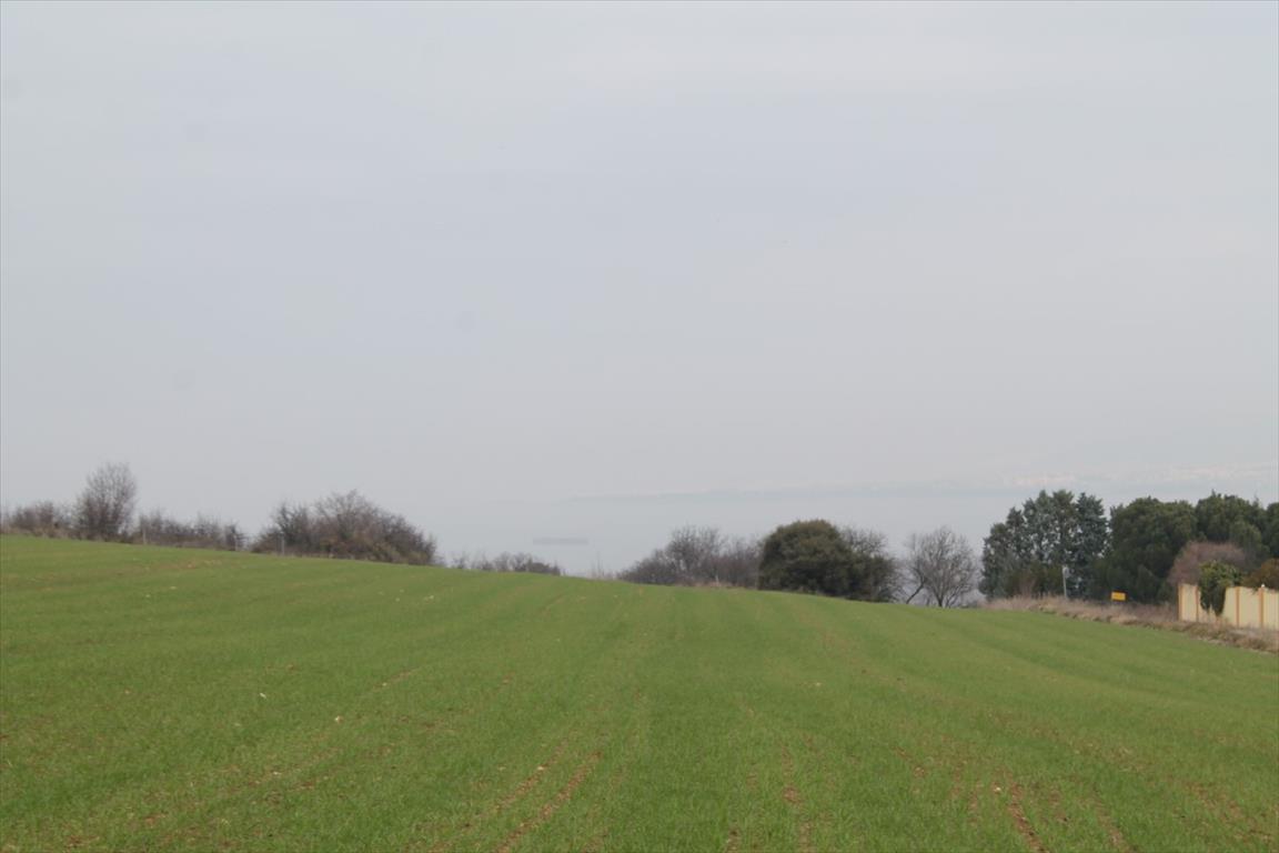 Hôtel à Epanomi, Greece 12646m² No. 6440