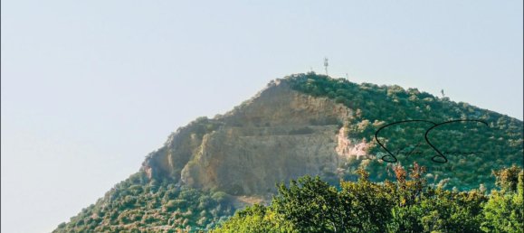 Terreno en Olmeta-di-Tuda, France 3566 m² No. 95971 5