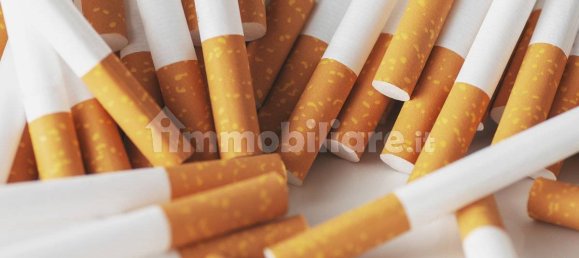 2 rooms Commercial property in Castelvetro Piacentino, Italy No. 223875 2